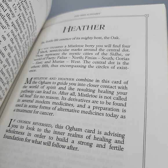 The Celtic Tree Oracle System of Divination First US Edition Hardcover - Picture 14 of 16